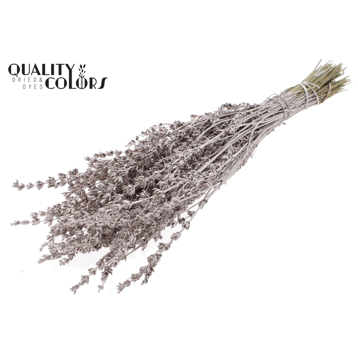 <h4>Lavendel per bunch Champagne</h4>