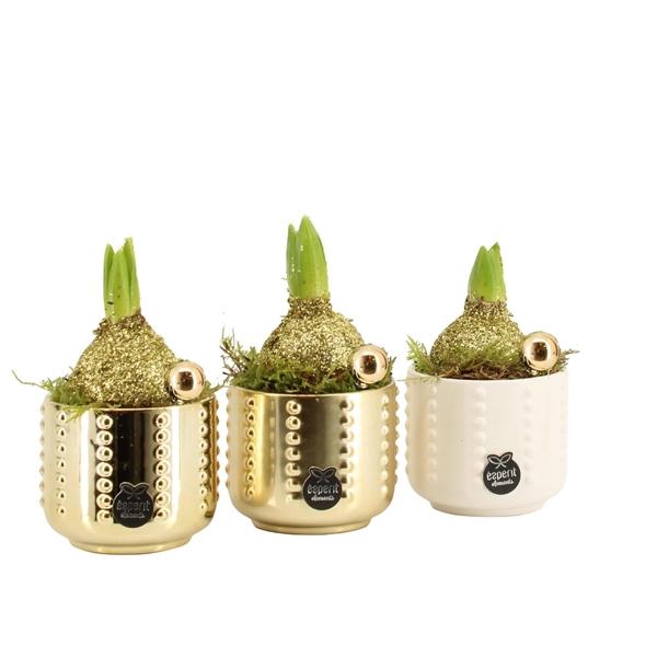 <h4>61849: X-mas arrangement</h4>