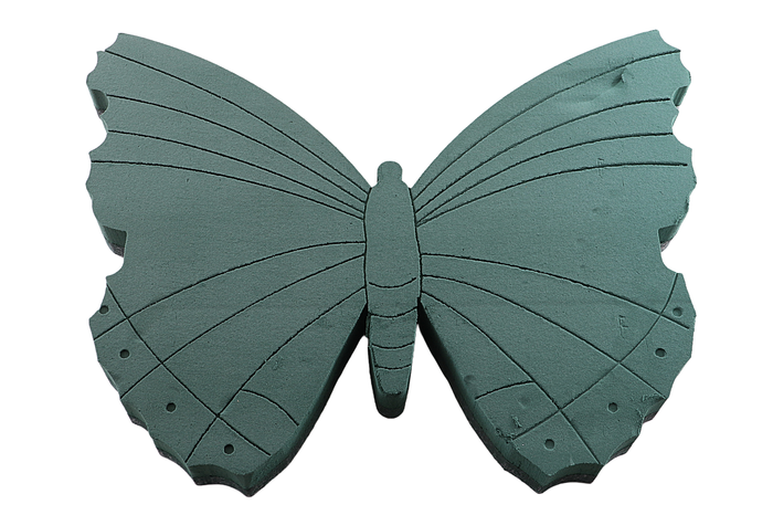 <h4>Oasis Butterfly Foam Frames 58x46cm</h4>