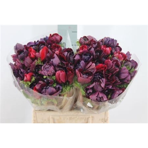 Anemoon Carillon Black Double