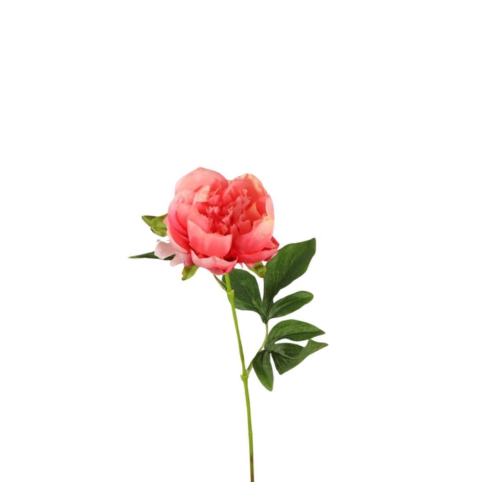 <h4>Kunstbloemen Paeonia 57cm</h4>