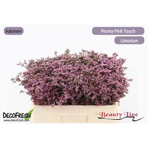 LIM PIUMA PINK TOUCH