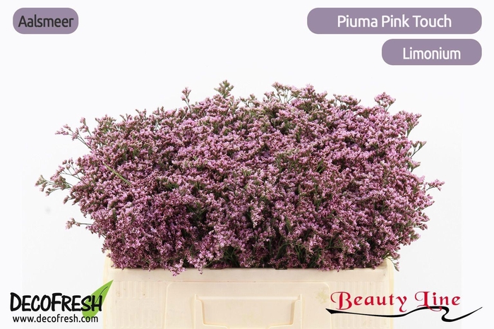 <h4>LIM PIUMA PINK TOUCH</h4>