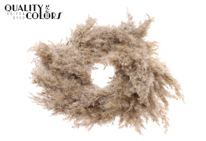 Pampas Wreath Small Ø 15cm Natural