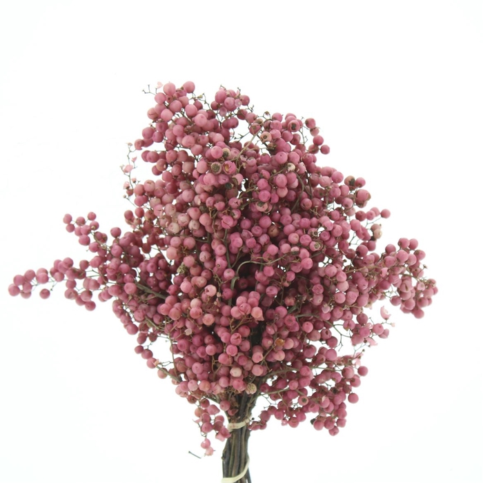 <h4>Dried Pepper Berries Pink (naturel)</h4>