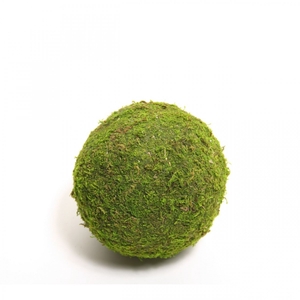 Dried articles Moss ball  8cm