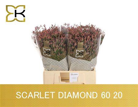 Lim Sin Scar Diamond