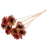 Shola Daisy Sunflower 6cm on stem Multicolour Red/Yellow