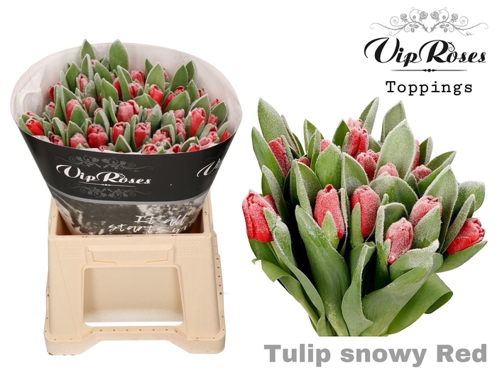 <h4>TU EN OV KLB H%</h4>