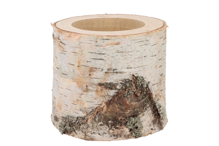 <h4>Nature Birch Pot D16-19cm X 15cm</h4>