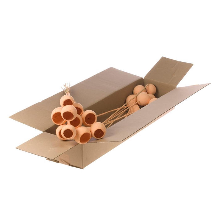 <h4>Bell Cup O/s 10pc Sb Coral Misty</h4>