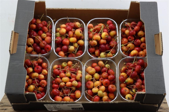 <h4>Sier Malusappel Mini Red X8</h4>