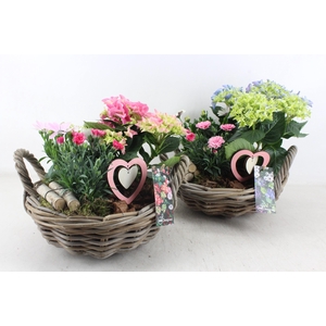 arr4 Outdoor MB - Hort. mix Kubu schaal XL