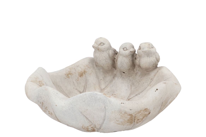 <h4>Concrete Antique Bird Bowl Leaf Birds 20x20x10cm Nm</h4>