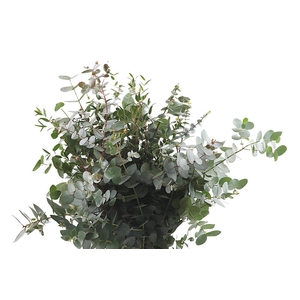 Blad Mix