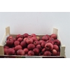 Sier Appels Red Ex 5kg P Wdn Box