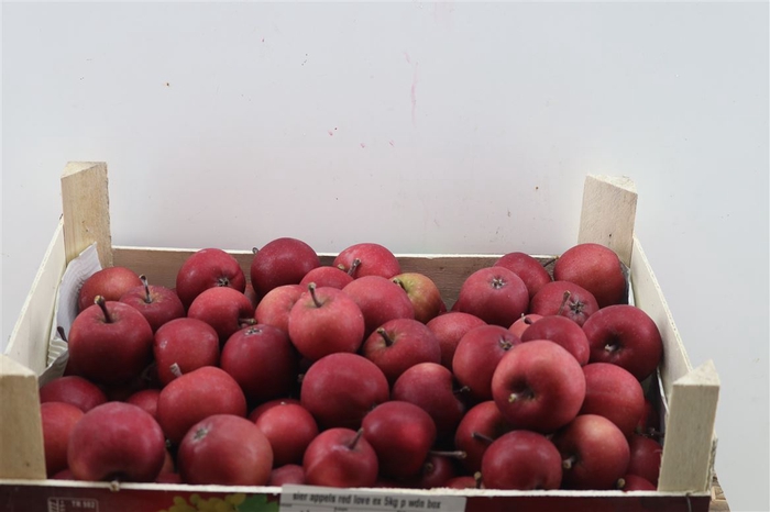 Sier Appels Red Ex 5kg P Wdn Box