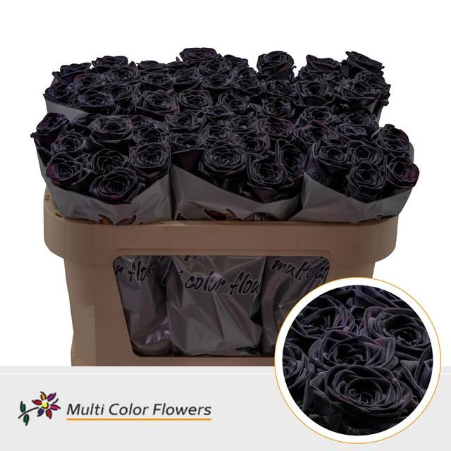 <h4>Rosa large paint black (red naomi!)</h4>