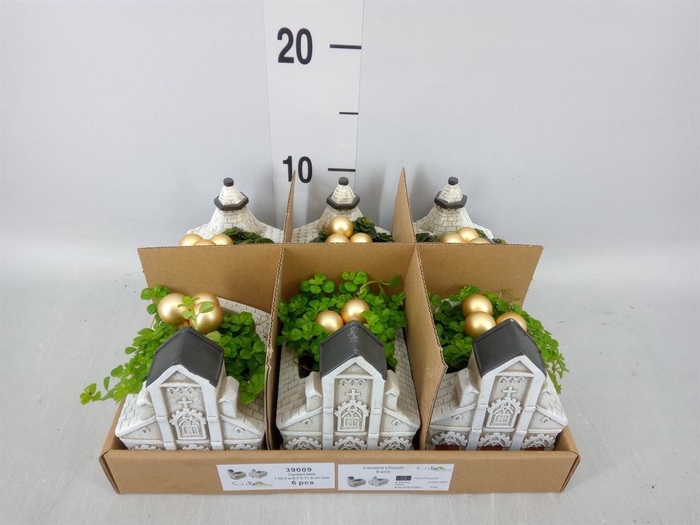 <h4>Arr. Kamerplant Groen L%</h4>