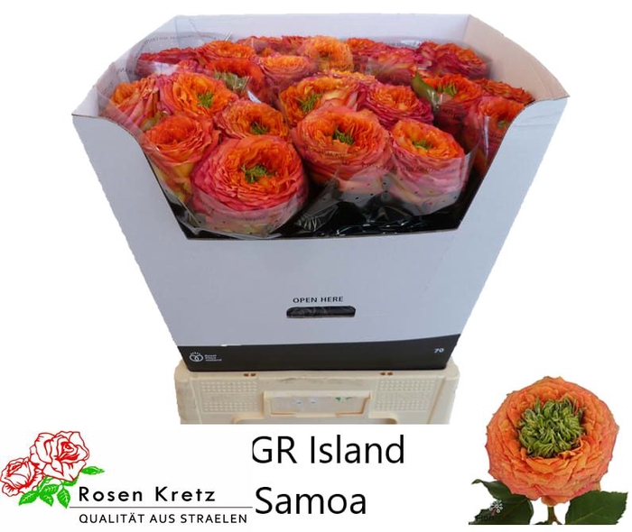 R GR GR ISLAND SAMOA
