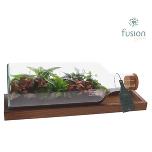 Green Bottle Fles Medium liggend met groene planten