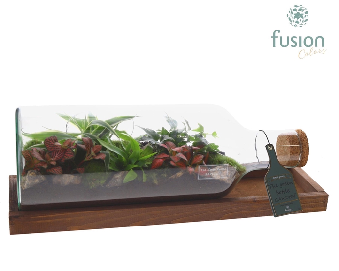 <h4>Green Bottle Fles Medium liggend met groene planten</h4>