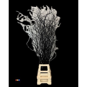 Salix 130cm Black