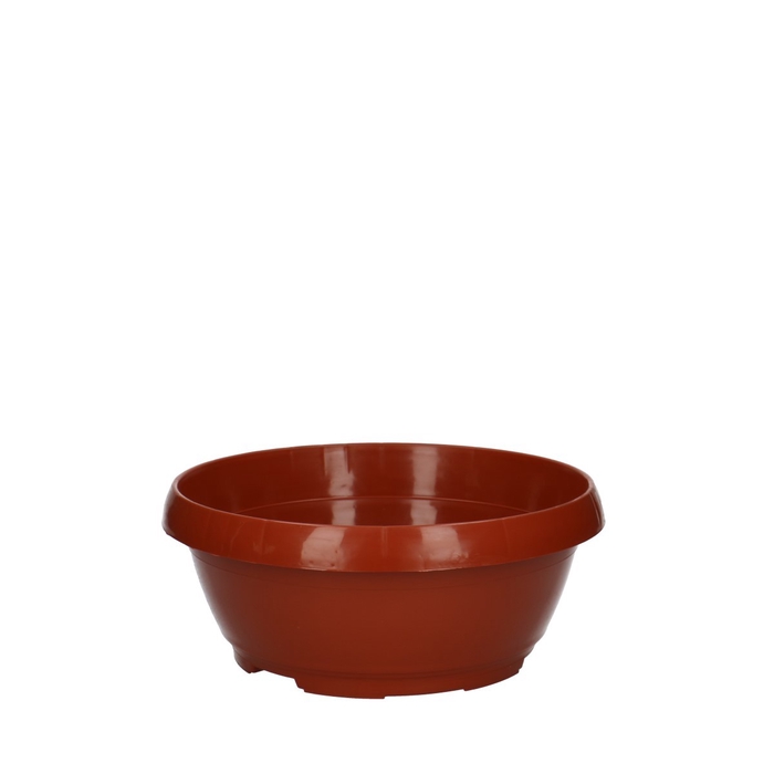 <h4>Allerheiligen Schaal classic d20*12cm</h4>