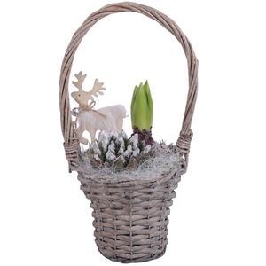 Winter Arr. Outdoor Willow Handle Basket Grey Ø15cm 1PP