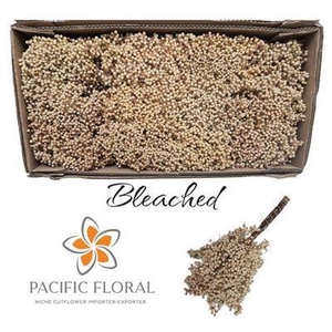 DROOG PEPPERBERRIE BLEACHED