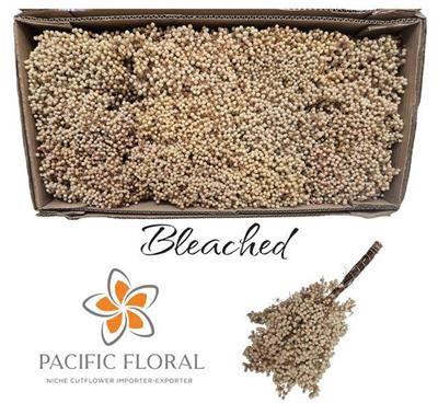 <h4>DROOG PEPPERBERRIE BLEACHED</h4>