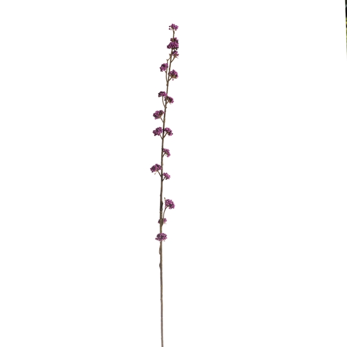 <h4>Af Callicarpa L103cm Paars</h4>