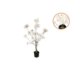 Silk Cherry Blossom Tree White 90cm