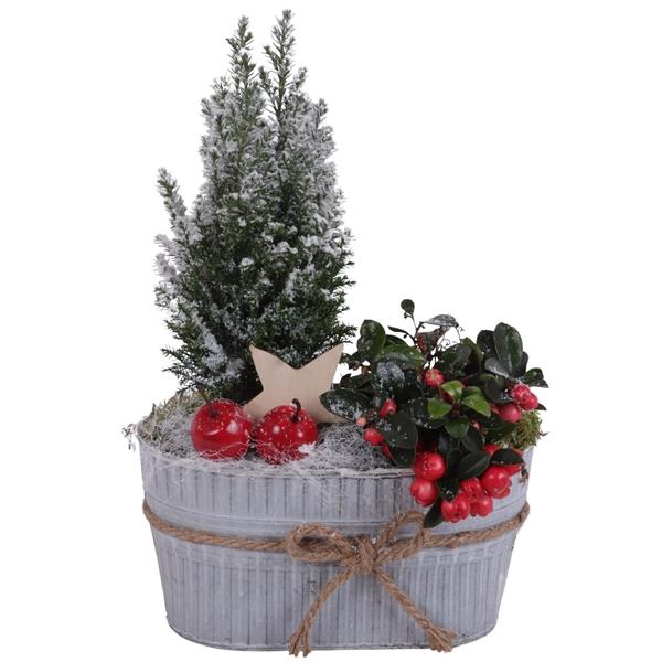 <h4>Winter Arr. Outdoor Zinc Pot with Rope Oval Ø25cm 2PP</h4>