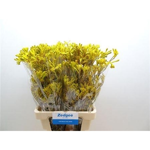 Anigoz Yellow Gem