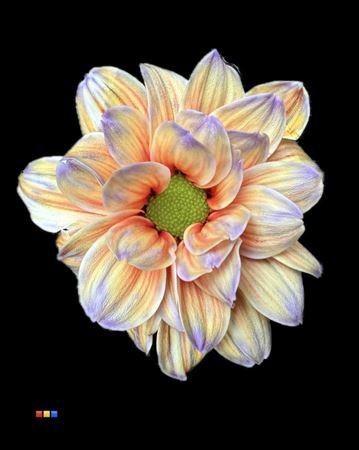 <h4>Chr T Kennedy Aruba</h4>