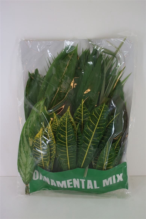 <h4>Tropical Leaf Mix 100 Leafs</h4>