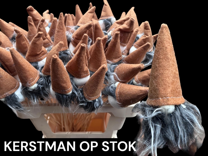 <h4>HUIS EN TUINDECO H%</h4>