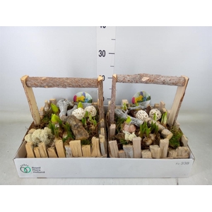 Arr.   Bol/Knolgewas L%