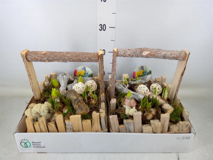 <h4>Arr. Bol/Knolgewas L%</h4>