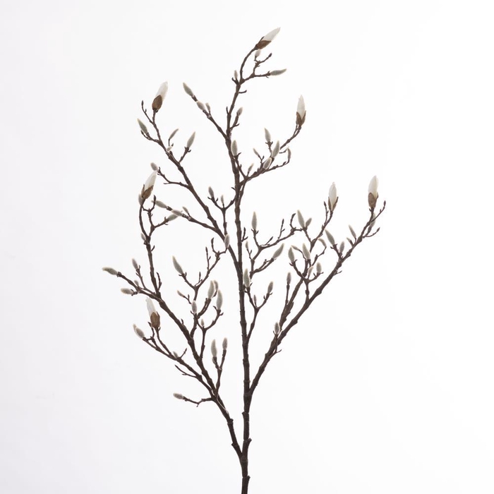 <h4>AF Magnolia Bud L135cm Cream</h4>