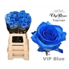 R GR VIP BLUE 65CM