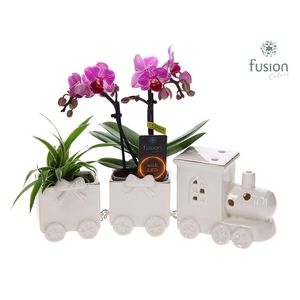 Keramiek LED Trein Medium met Arrangement