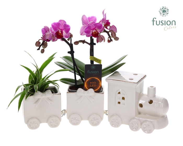 <h4>Keramiek LED Trein Medium met Arrangement</h4>