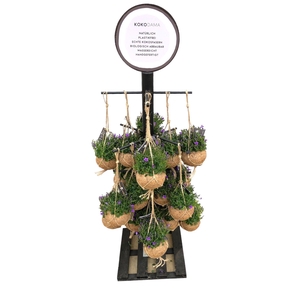 Kokodama Black Tree small INCLUDING 24 Kokodama Campanula's 'Addenda'