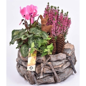 Natuur druivenhout 24cm