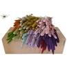 Setaria per bunch mixed colours