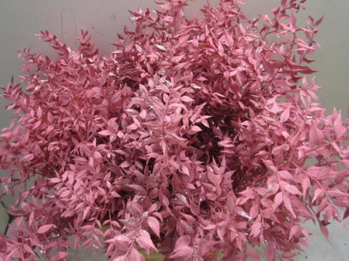 <h4>Ruscus Prik Rose Glitter</h4>