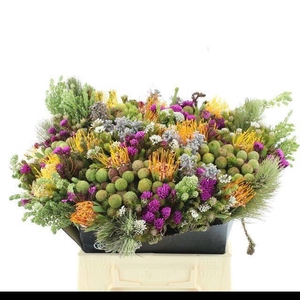 ALLERHEILIGENBOEK BS