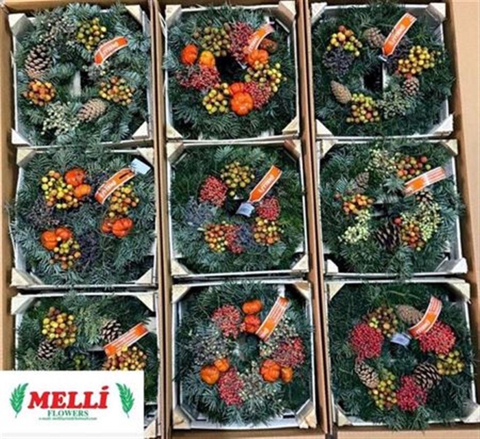 <h4>Sierfruit Krans H%</h4>